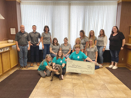 Strayhaven Animal Shelter